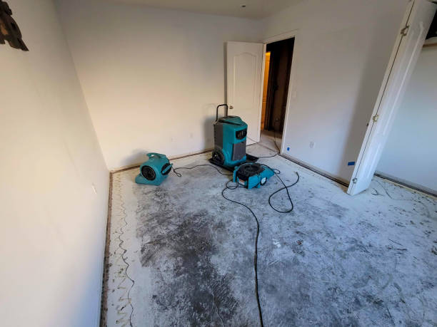 Best Water damage restoration near me  in Francisville, KY