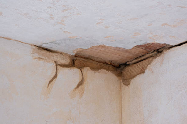 Best 24-hour water damage restoration  in Francisville, KY