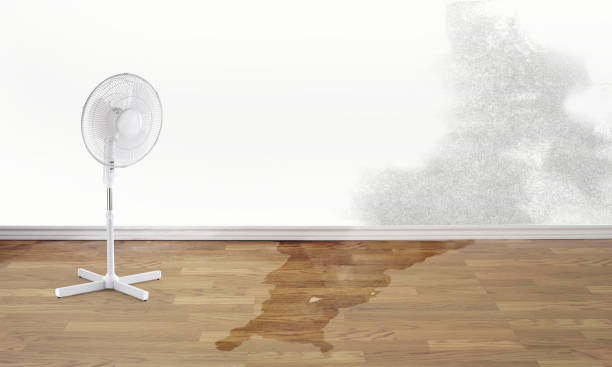 Carpet water damage restoration in KY