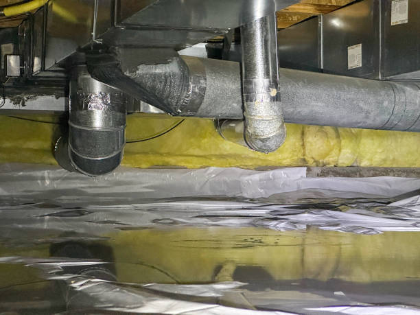 Best Mold removal after water damage  in Francisville, KY