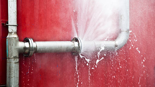 Best Residential water damage restoration  in Francisville, KY